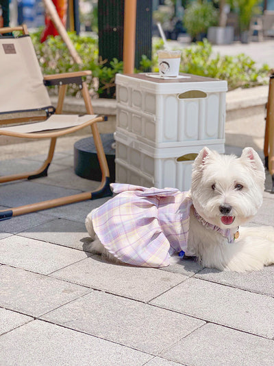 Falda Arnés para Perros JK Transpirable - Ropa Cómoda y Elegante - Image 16
