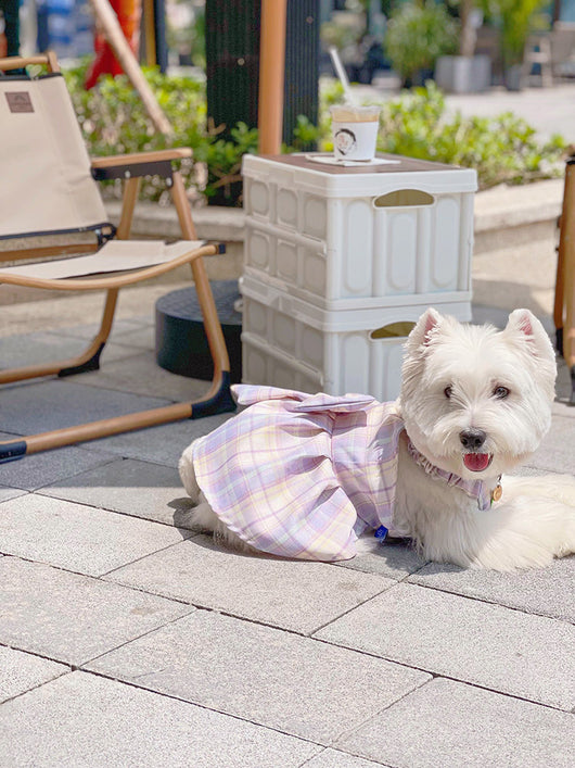 Falda Arnés para Perros JK Transpirable - Ropa Cómoda y Elegante - Image 16