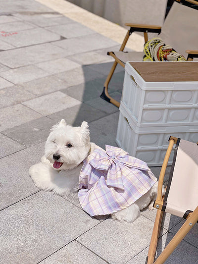 Falda Arnés para Perros JK Transpirable - Ropa Cómoda y Elegante - Image 17