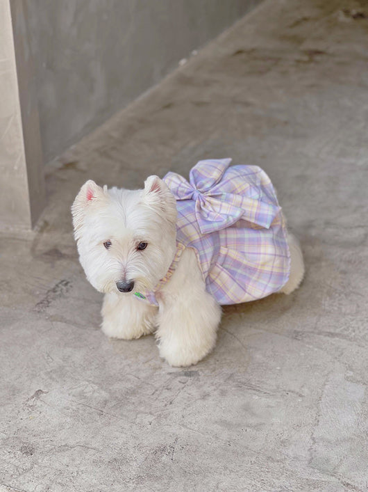 Falda Arnés para Perros JK Transpirable - Ropa Cómoda y Elegante - Image 18