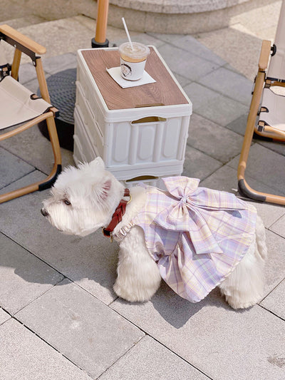 Falda Arnés para Perros JK Transpirable - Ropa Cómoda y Elegante - Image 19
