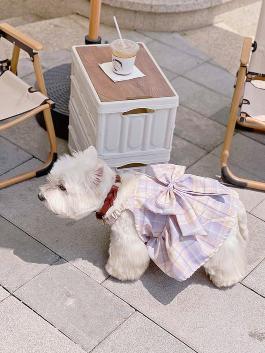 Falda Arnés para Perros JK Transpirable - Ropa Cómoda y Elegante - Image 19