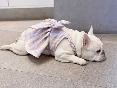 Falda Arnés para Perros JK Transpirable - Ropa Cómoda y Elegante - Image 23