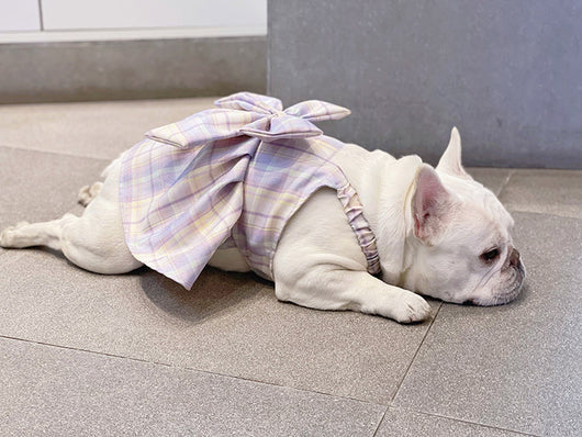 Falda Arnés para Perros JK Transpirable - Ropa Cómoda y Elegante - Image 23