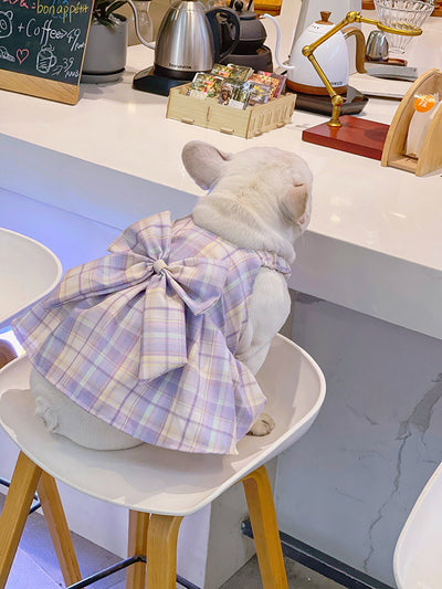 Falda Arnés para Perros JK Transpirable - Ropa Cómoda y Elegante - Image 24