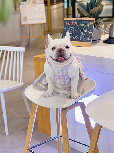 Falda Arnés para Perros JK Transpirable - Ropa Cómoda y Elegante - Image 26