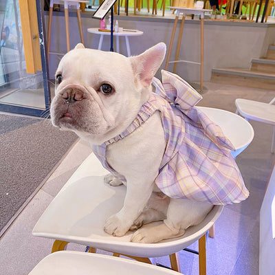 Falda Arnés para Perros JK Transpirable - Ropa Cómoda y Elegante - Image 27