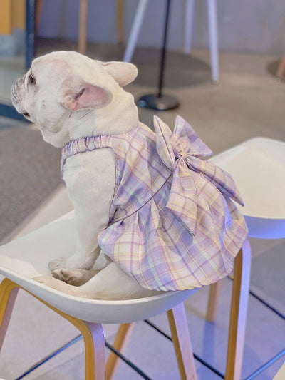 Falda Arnés para Perros JK Transpirable - Ropa Cómoda y Elegante - Image 28