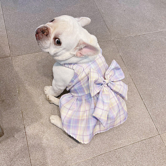 Falda Arnés para Perros JK Transpirable - Ropa Cómoda y Elegante - Image 29