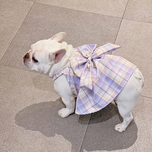 Falda Arnés para Perros JK Transpirable - Ropa Cómoda y Elegante - Image 32