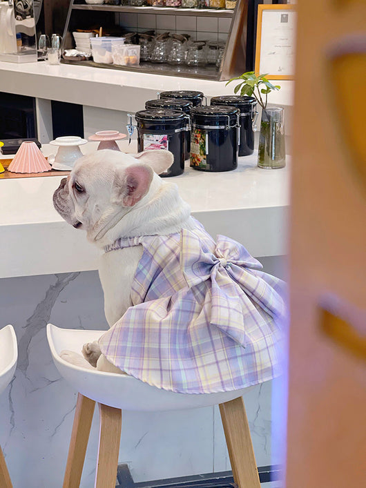Falda Arnés para Perros JK Transpirable - Ropa Cómoda y Elegante - Image 33