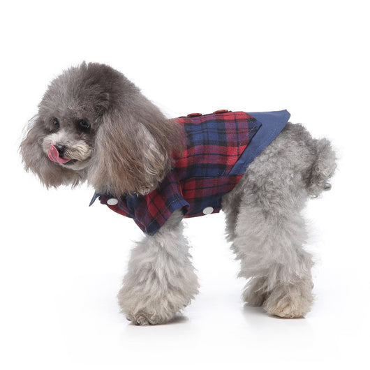 Traje de Etiqueta y Vestido de Novia para Perros - Image 9