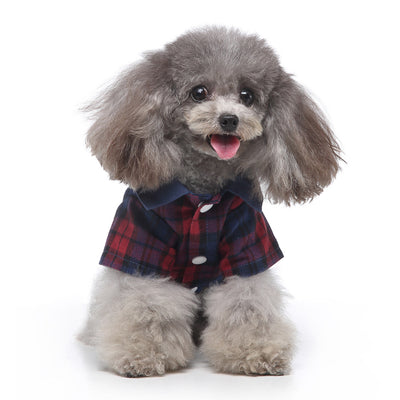 Traje de Etiqueta y Vestido de Novia para Perros - Image 11