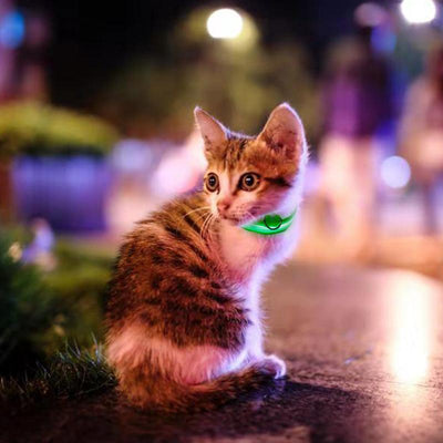 Collar de Identificación con Velcro para Gatitos y Cachorros - Image 16