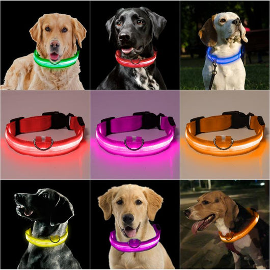 Collar de Identificación con Velcro para Gatitos y Cachorros - Image 18
