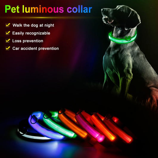 Collar de Identificación con Velcro para Gatitos y Cachorros - Image 20