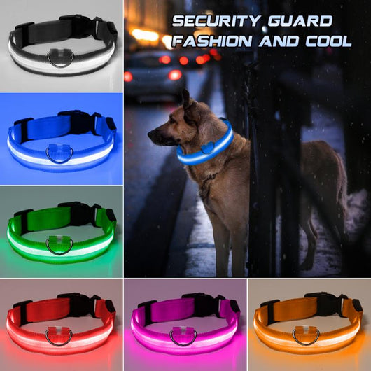 Collar de Identificación con Velcro para Gatitos y Cachorros - Image 21