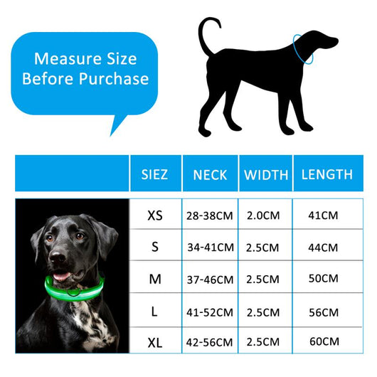 Collar de Identificación con Velcro para Gatitos y Cachorros - Image 26