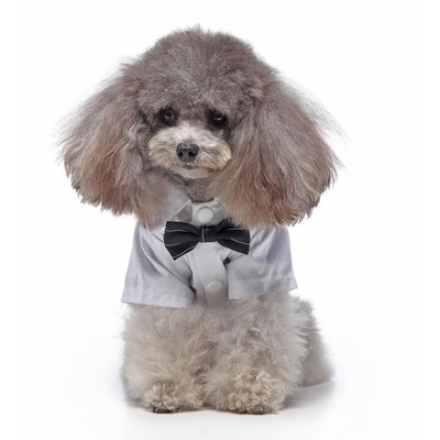 Traje de Etiqueta y Vestido de Novia para Perros - Image 19