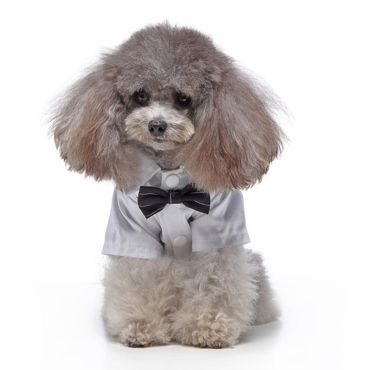 Traje de Etiqueta y Vestido de Novia para Perros - Image 19