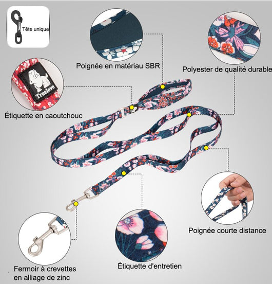 Juguete de Cuerda y Cadena para Perros - Tracción y Diversión - Image 9