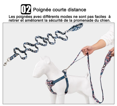 Juguete de Cuerda y Cadena para Perros - Tracción y Diversión - Image 11