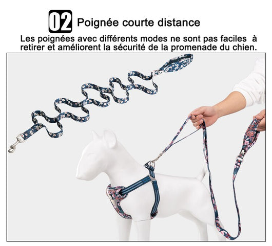 Juguete de Cuerda y Cadena para Perros - Tracción y Diversión - Image 11