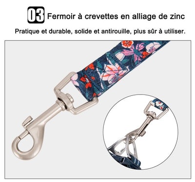 Juguete de Cuerda y Cadena para Perros - Tracción y Diversión - Image 12