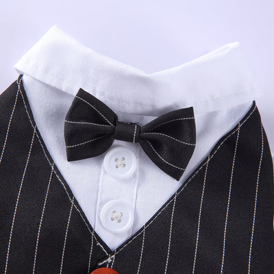 Traje de Etiqueta y Vestido de Novia para Perros - Image 22