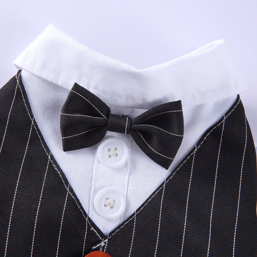 Traje de Etiqueta y Vestido de Novia para Perros - Image 22