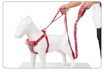 Juguete de Cuerda y Cadena para Perros - Tracción y Diversión - Image 15