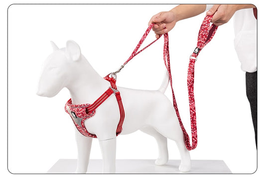 Juguete de Cuerda y Cadena para Perros - Tracción y Diversión - Image 15