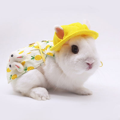 Vestido Princesa de Verano para Mascotas - Image 11
