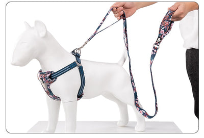Juguete de Cuerda y Cadena para Perros - Tracción y Diversión - Image 21