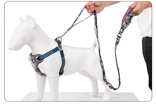 Juguete de Cuerda y Cadena para Perros - Tracción y Diversión - Image 21