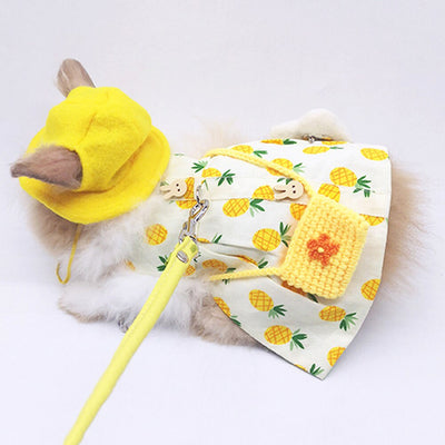 Vestido Princesa de Verano para Mascotas - Image 12