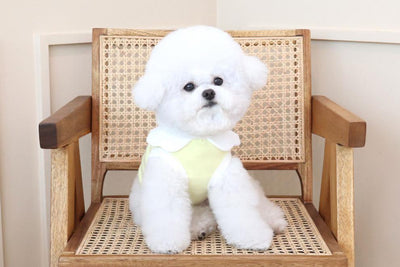 Chaleco Suave con Bordado de Nubes para Perros - Image 7