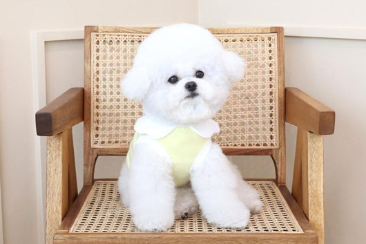 Chaleco Suave con Bordado de Nubes para Perros - Image 7