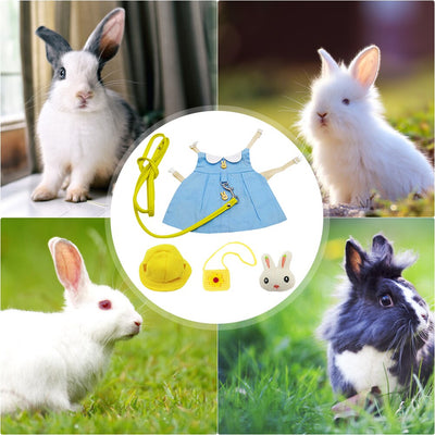 Vestido Princesa de Verano para Mascotas - Image 15