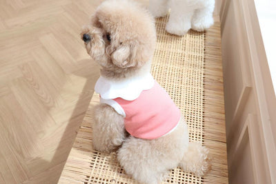 Chaleco Suave con Bordado de Nubes para Perros - Image 10