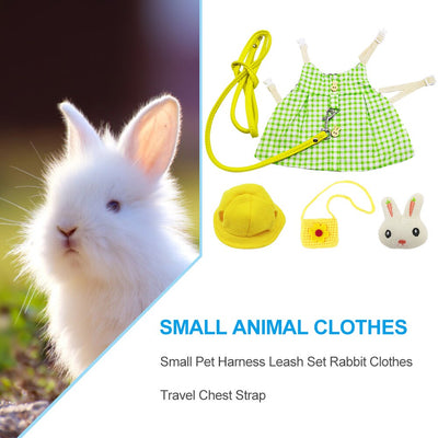 Vestido Princesa de Verano para Mascotas - Image 16