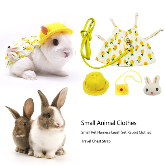 Vestido Princesa de Verano para Mascotas - Image 17