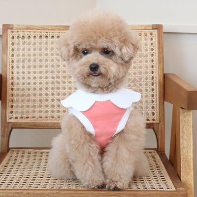 Chaleco Suave con Bordado de Nubes para Perros - Image 11