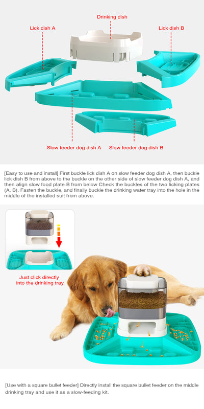 Comedero y Bebedero Lento para Perros con Bandeja Antideslizante - Image 11