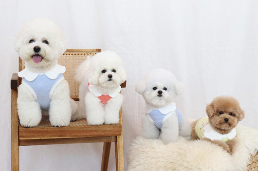 Chaleco Suave con Bordado de Nubes para Perros - Image 18