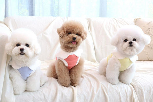 Chaleco Suave con Bordado de Nubes para Perros - Image 19