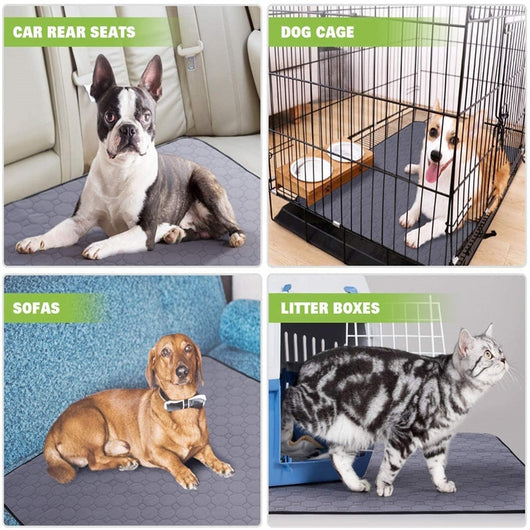 Tapete Absorbente para Mascotas Antideslizante, Lavable y Reutilizable - Image 14