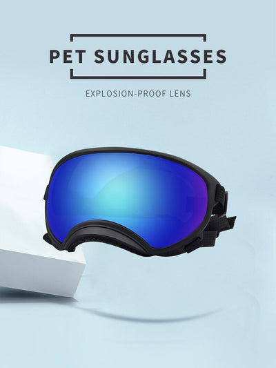 Gafas Protectoras para Perros en la Nieve - Image 21