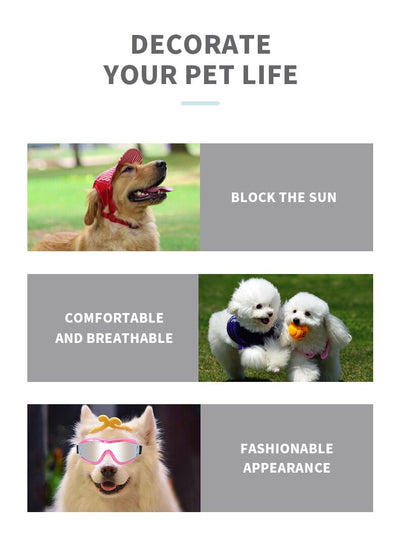 Gafas Protectoras para Perros en la Nieve - Image 23