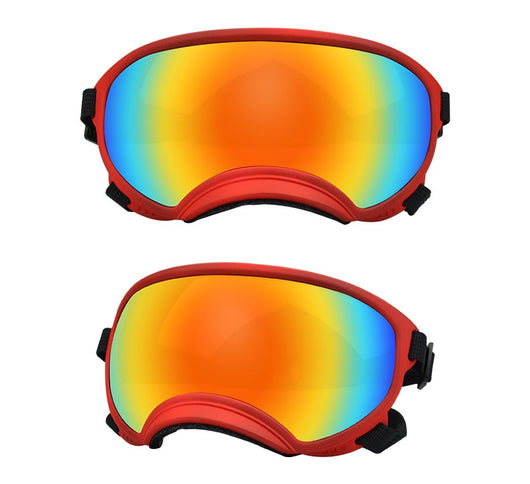 Gafas Protectoras para Perros en la Nieve - Image 35